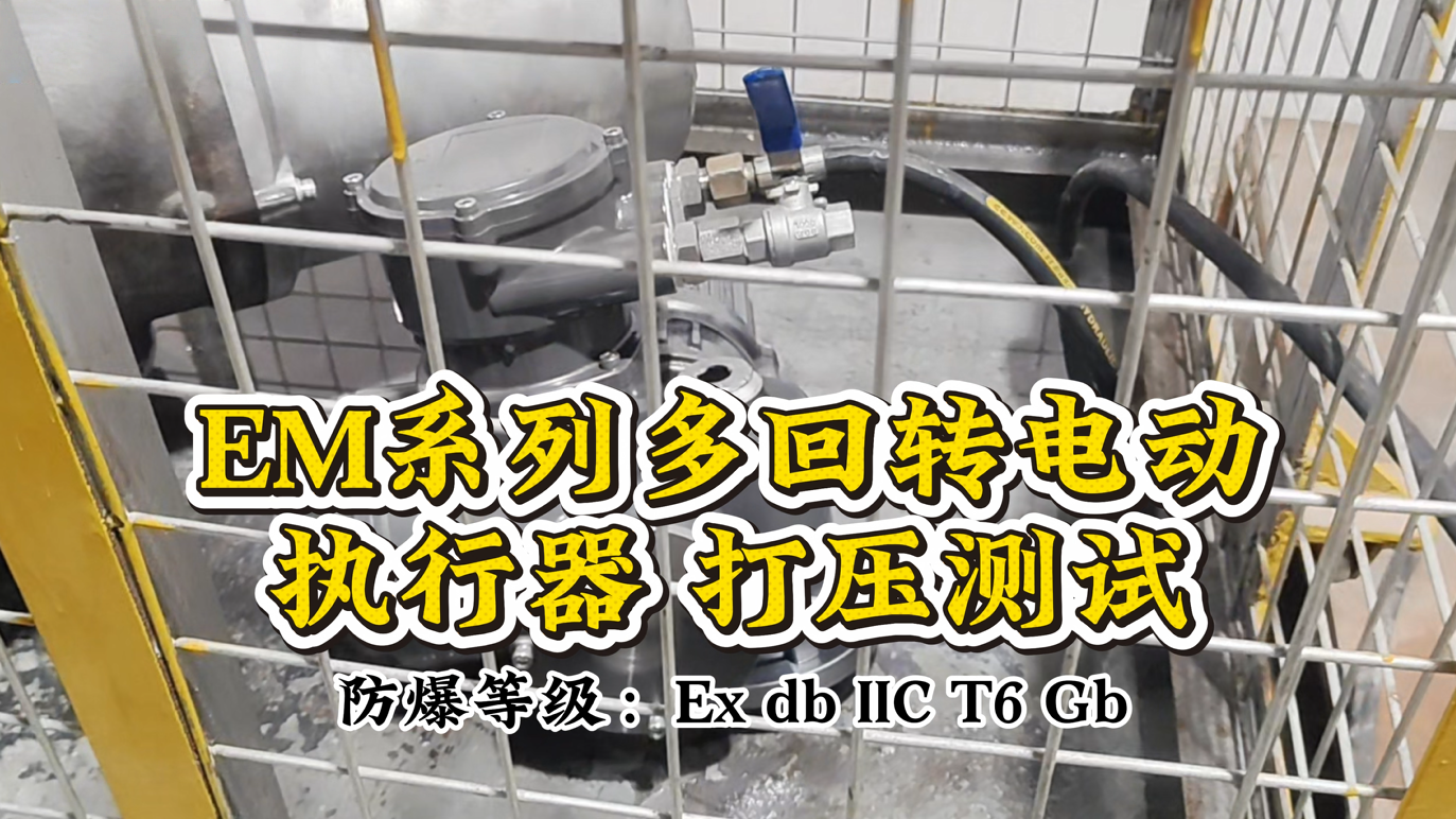 严测试铸品质 ——EM 系列多回转电动执行器打压测试圆满完成