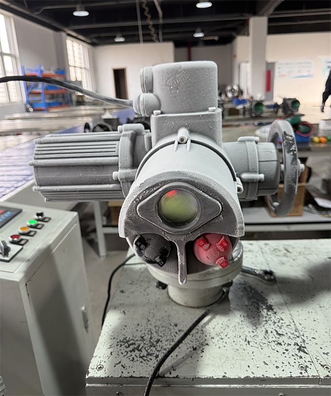 各种姿势玩小处雌女TXT视频